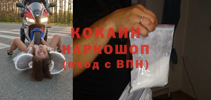 купить   Волосово  Cocaine 99% 