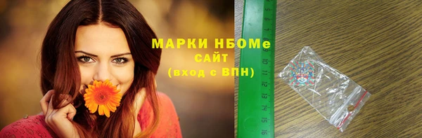 шишки Баксан