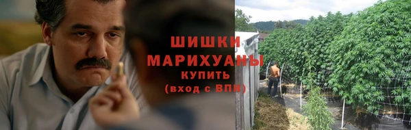 шишки Баксан