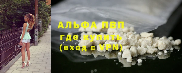 прущие грибы Беломорск