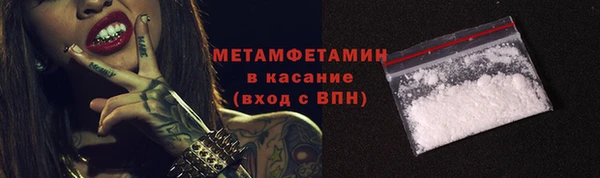 прущие грибы Беломорск
