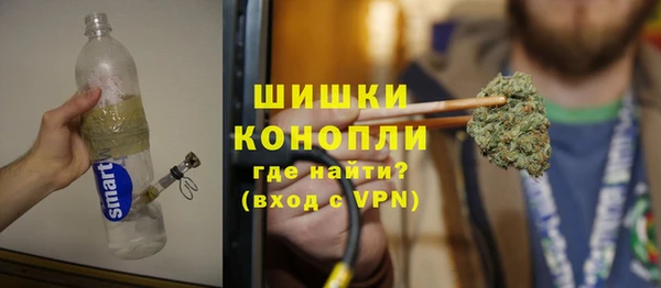 прущие грибы Беломорск