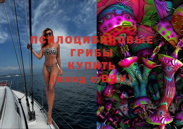 соль ск Балахна