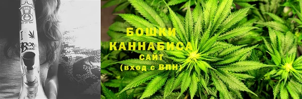 шишки Баксан