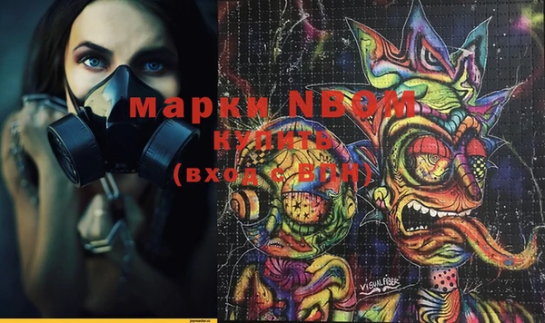 шишки Баксан
