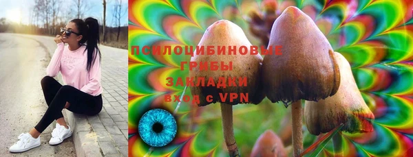 соль ск Балахна