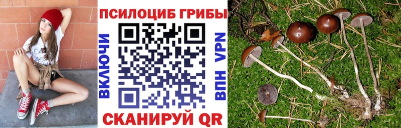 Галлюциногенные грибы прущие грибы  цены наркотик  Волосово 